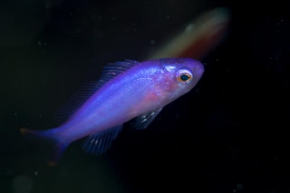 「無題」のサムネイル画像