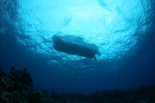 「無題」のサムネイル画像