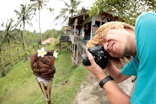 「無題」のサムネイル画像