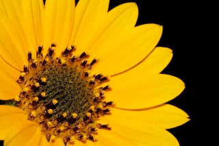 「バイカラーミックス」のサムネイル画像