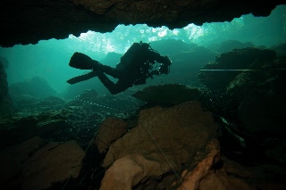 「無題」のサムネイル画像