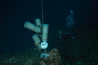 「無題」のサムネイル画像