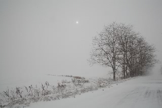 「無題」のサムネイル画像