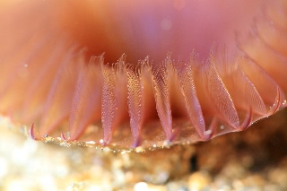 「無題」のサムネイル画像