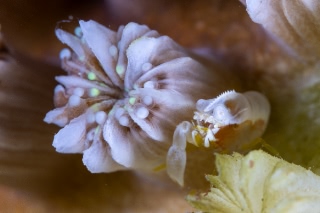「無題」のサムネイル画像