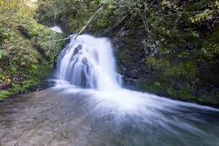 「女神の滝」のサムネイル画像