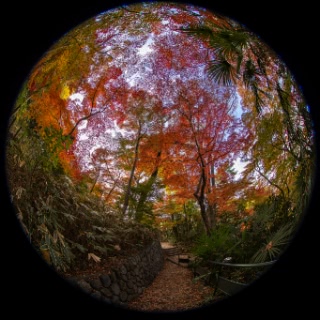 「無題」のサムネイル画像