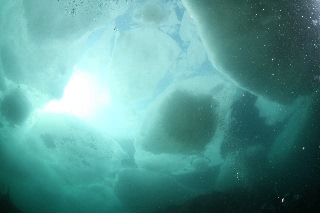 「流氷」のサムネイル画像