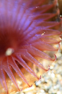 「無題」のサムネイル画像