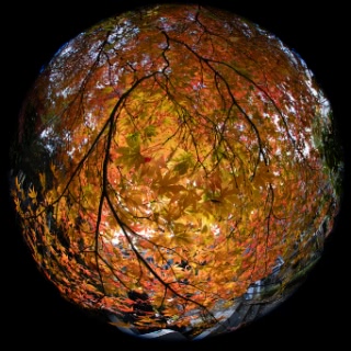 「無題」のサムネイル画像