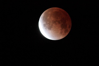 「無題」のサムネイル画像