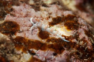 「無題」のサムネイル画像