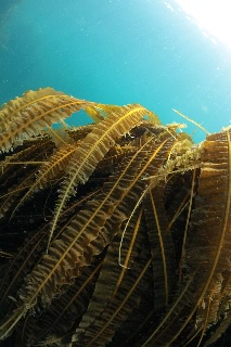 「無題」のサムネイル画像