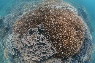 「無題」のサムネイル画像