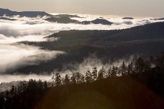 「無題」のサムネイル画像