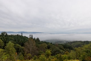 「無題」のサムネイル画像
