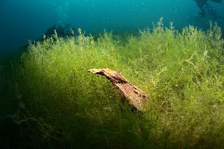 「無題」のサムネイル画像