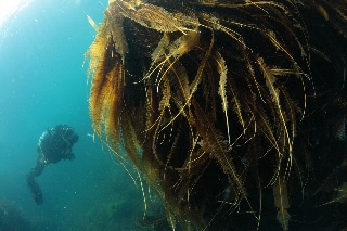 「無題」のサムネイル画像