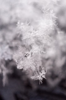 「無題」のサムネイル画像