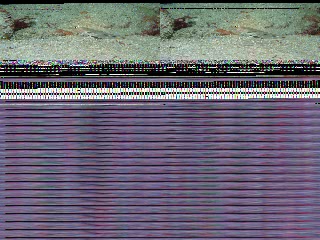 「無題」のサムネイル画像
