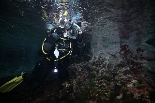 「無題」のサムネイル画像