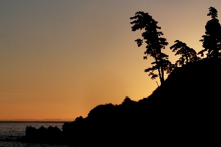 「無題」のサムネイル画像