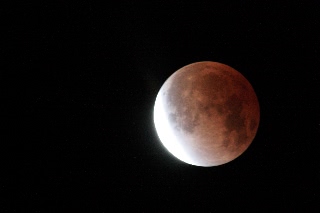 「無題」のサムネイル画像