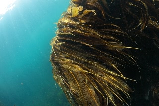 「無題」のサムネイル画像