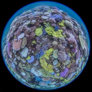 「無題」のサムネイル画像