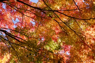 「無題」のサムネイル画像