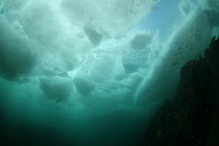 「流氷」のサムネイル画像