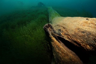 「無題」のサムネイル画像
