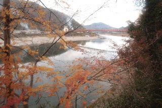 「無題」のサムネイル画像