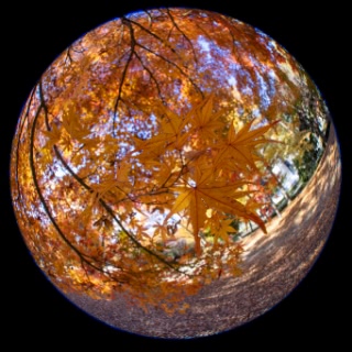 「無題」のサムネイル画像