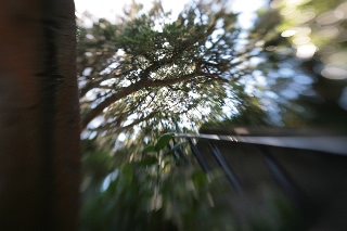 「無題」のサムネイル画像