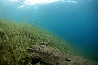 「無題」のサムネイル画像