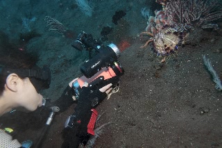 「無題」のサムネイル画像