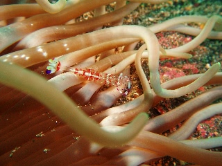 「無題」のサムネイル画像