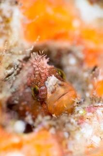 「無題」のサムネイル画像