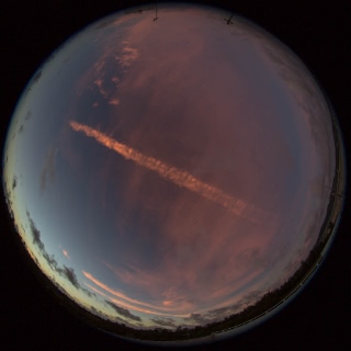 「無題」のサムネイル画像