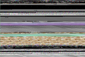 「無題」のサムネイル画像