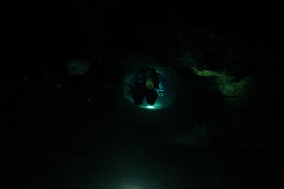 「無題」のサムネイル画像