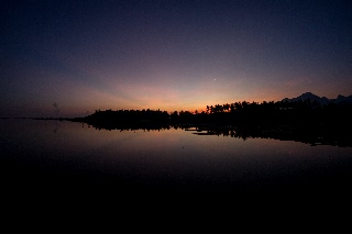 「マンデルブロ集合(嘘)」のサムネイル画像
