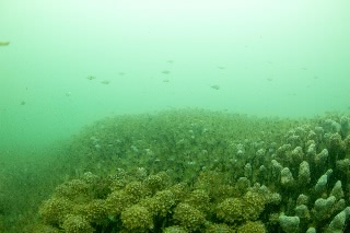 「無題」のサムネイル画像