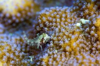 「無題」のサムネイル画像