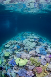 「無題」のサムネイル画像