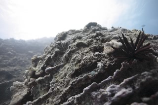 「無題」のサムネイル画像