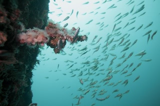 「無題」のサムネイル画像