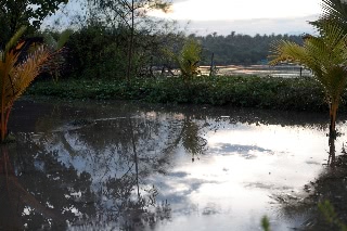 「無題」のサムネイル画像