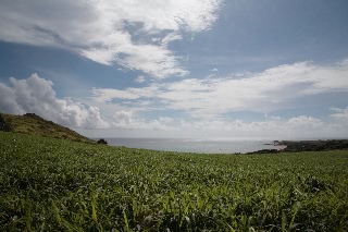 「無題」のサムネイル画像